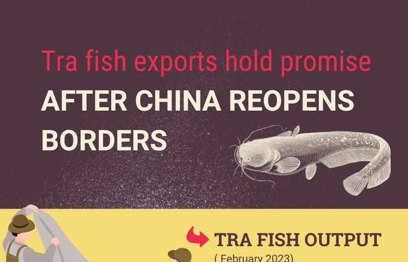 Tra fish exports hold promise after China reopens borders