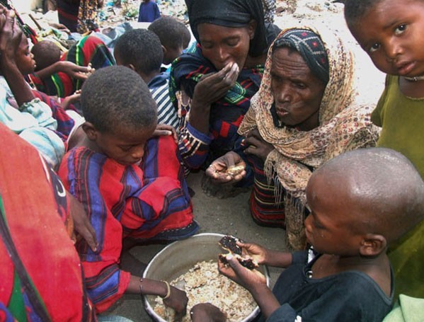 Hạn hán kéo dài khiến hơn 2 triệu người ở vùng Sừng châu Phi phải rời bỏ nhà cửa