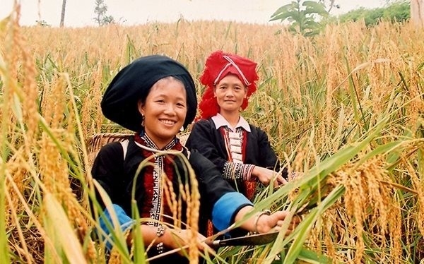 Quảng Ngãi: Thúc đẩy tiến độ giải ngân vốn chương trình mục tiêu quốc gia giảm nghèo bền vững