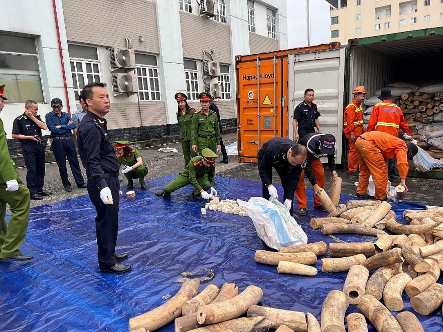 Thu nộp vào ngân sách nhà nước hơn 179 tỷ đồng từ xử lý vi phạm lĩnh vực hải quan