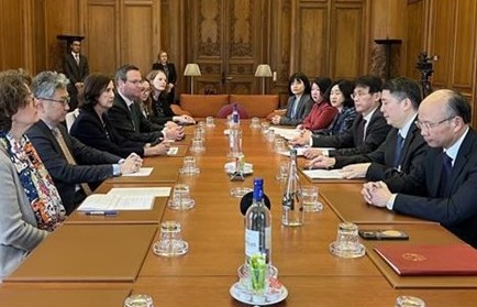 Vietnam joins Multilateral Convention to tackle tax evasion and avoidance