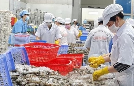 Significant efforts needed to realise 4.3-billion-USD shrimp exports