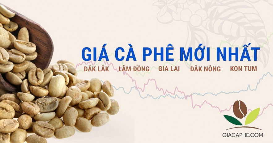 Ngày  27/3: Giá cà phê, cao su tăng, giá tiêu chững lại