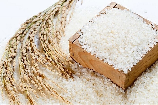 Giá lúa gạo lặng sóng cả trong nước và xuất khẩu nhưng có xu hướng tăng