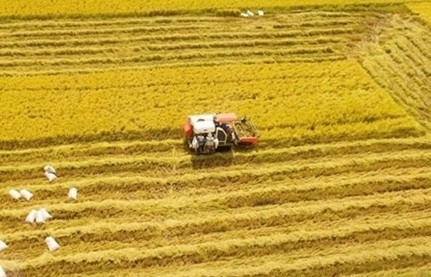 2023 set to be favourable for Vietnamese rice enterprises