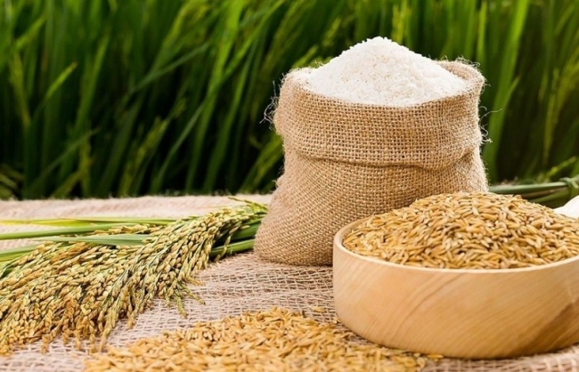 Ngày 28/3: Giá lúa gạo biến động không đồng nhất