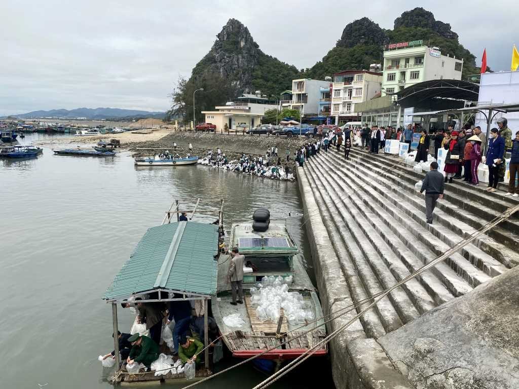 Quảng Ninh: Thả 2,3 triệu con giống thủy sản về tự nhiên