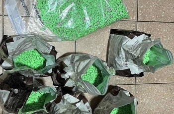 Lực lượng hải quan chủ trì phối hợp bắt giữ 38 vụ buôn lậu ma túy