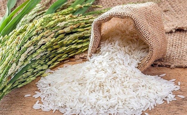 Khởi sắc về giá nhưng doanh nghiệp xuất khẩu gạo phải đáp ứng nhiều tiêu chuẩn khắt khe