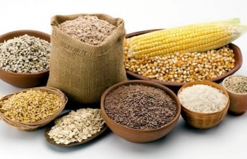 FAO: Chỉ số giá lương thực toàn cầu giảm tháng thứ 12 liên tiếp
