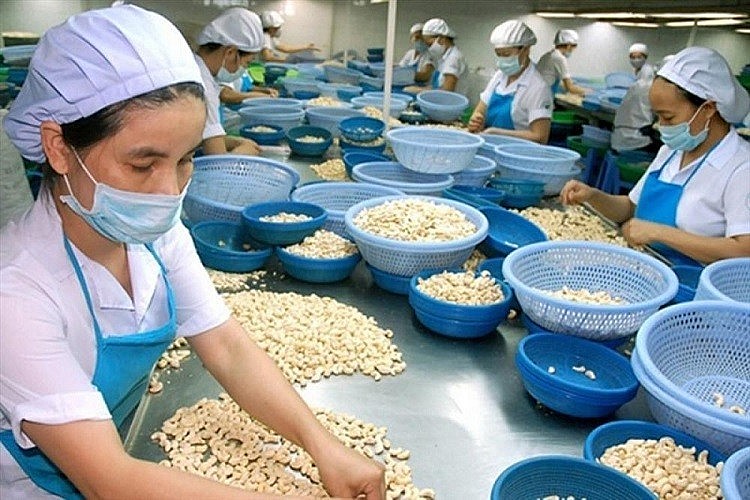 Cải cách thủ tục hành chính, đồng bộ chính sách- Giải pháp thiết thực hỗ trợ doanh nghiệp phục hồi Cải cách hành chính và đồng bộ chính sách - Giải pháp thiết thực hỗ trợ doanh nghiệp phục hồi