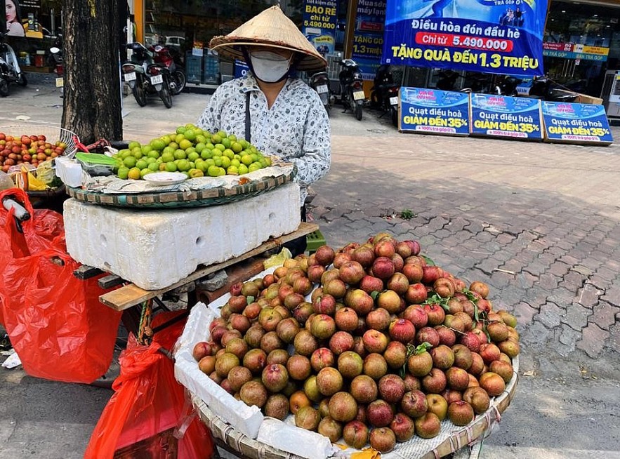 Hà Nội: Mơ, mận đầu mùa giá cao vẫn hút khách