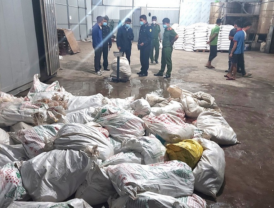 Bắc Ninh: Phát hiện tiêu hủy hơn 7 tấn lòng lợn bốc mùi hôi thối