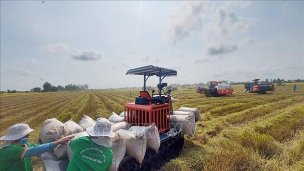 Vietnam exports 1.7 million tonnes of rice in Q1 Vietnam exports 1.7 million tonnes of rice in Q1