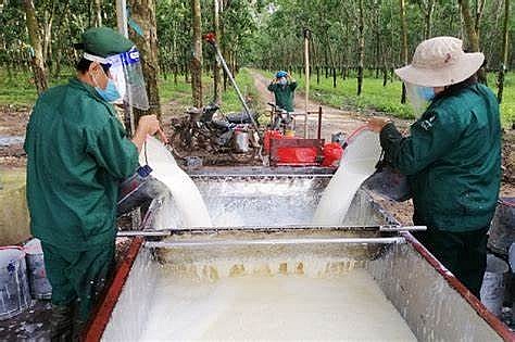 Giá tiêu và cà phê tăng nhẹ phiên cuối tuần, cao su biến động trái chiều