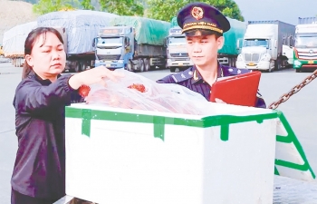 Thông quan thuận lợi, xuất nhập khẩu qua biên giới phía Bắc tăng mạnh