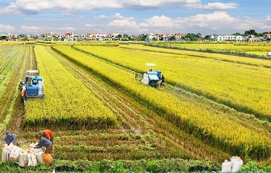 "Hiến kế" tái kiến trúc hệ thống lương thực thực phẩm toàn cầu