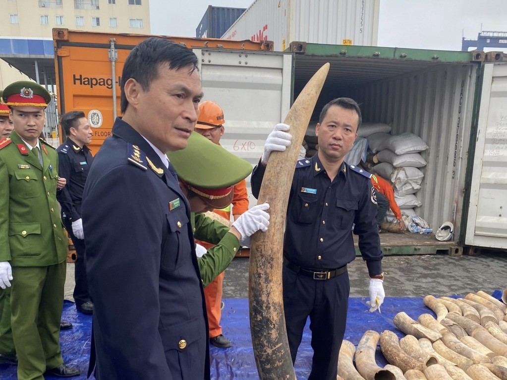 Phó Thủ tướng Chính phủ gửi Thư khen các lực lượng triệt phá thành công vụ buôn lậu 7 tấn ngà voi