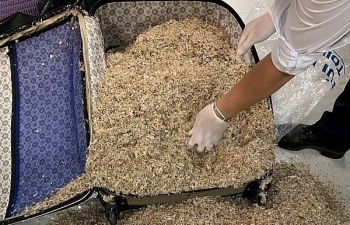 Đề nghị truy tố 2 đối tượng buôn lậu 1,2 tạ yến sào qua đường hàng không