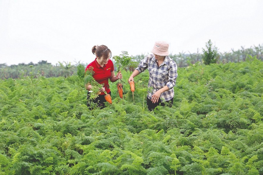 Agribank và những giải pháp góp phần nâng tầm ngành nông, thủy sản