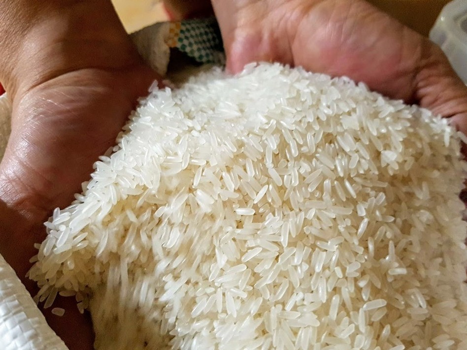 Ngày 12/5: Giá lúa gạo ổn định cả thị trường trong nước và thế giới