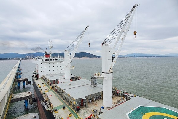 Vietnamese cement company exports more than 31,000 tons of products to US