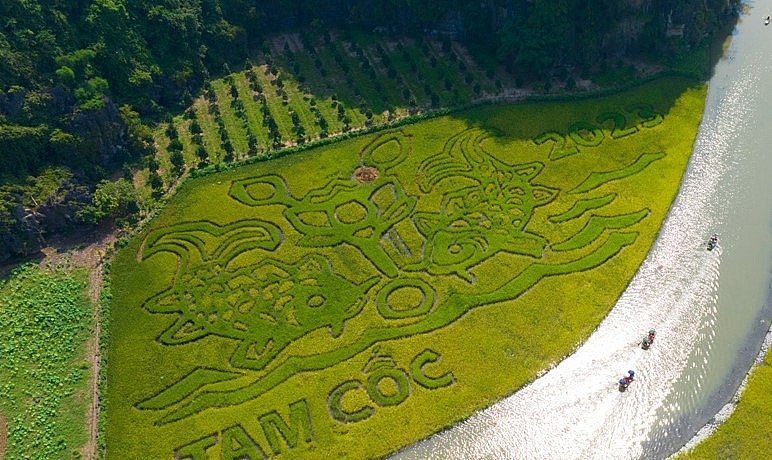 Nhiều trải nghiệm thú vị tại  Tuần Du lịch Ninh Bình 2023 'Sắc vàng Tam Cốc - Tràng An'