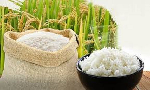 Ngày 24/5: Giá lúa gạo tiếp tục chững lại, thị trường xuất khẩu tích cực