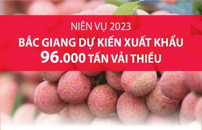 Niên vụ 2023: Bắc Giang dự kiến xuất khẩu 96.000 tấn vải thiều