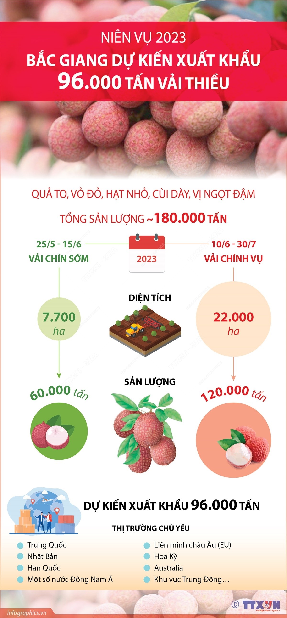 Niên vụ 2023: Bắc Giang dự kiến xuất khẩu 96.000 tấn vải thiều