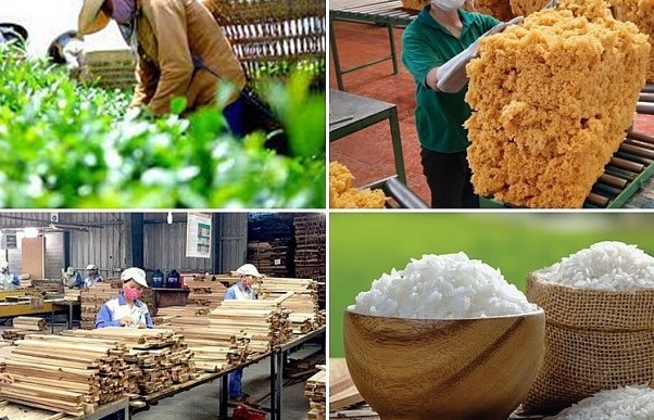 5 tháng, Việt Nam thu về hơn 20 tỷ USD từ xuất khẩu hàng nông - lâm - thủy sản