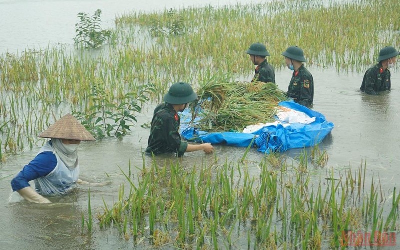 5 tháng, cả nước thiệt hại 196,3 tỷ đồng từ thiên tai