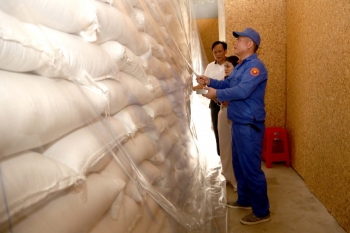 Tổng cục Dự trữ Nhà nước đấu thầu mua 220.000 tấn gạo nhập kho dự trữ quốc gia