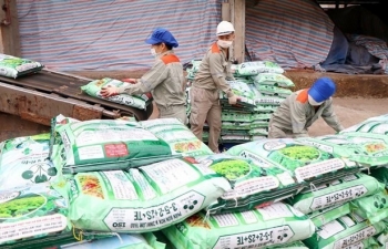 Australia likely not to impose anti-dumping duties on ammonium nitrate from Vietnam