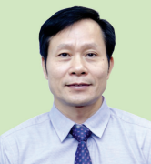 EU cấm hàng hóa có xuất xứ từ phá rừng: Cơ hội tốt cho doanh nghiệp Việt