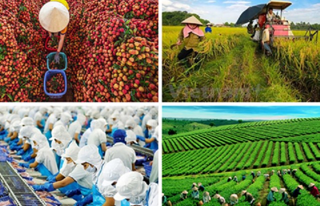 Việt Nam-Nhật Bản: Thống nhất triển khai "Tầm nhìn hợp tác nông nghiệp giai đoạn tiếp theo 2025-2028"