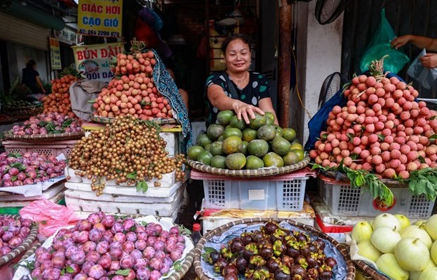 Sôi động thị trường thực phẩm, nông sản dịp Tết Đoan Ngọ tại 2 thành phố lớn