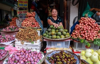 Sôi động thị trường thực phẩm, nông sản dịp Tết Đoan Ngọ tại 2 thành phố lớn