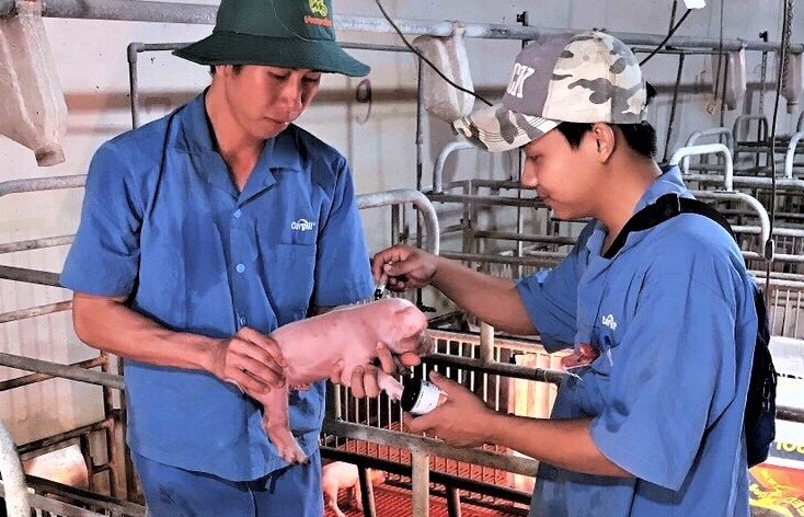 Huy động nguồn lực quốc tế để nâng cao năng lực hệ thống chuyên ngành thú y