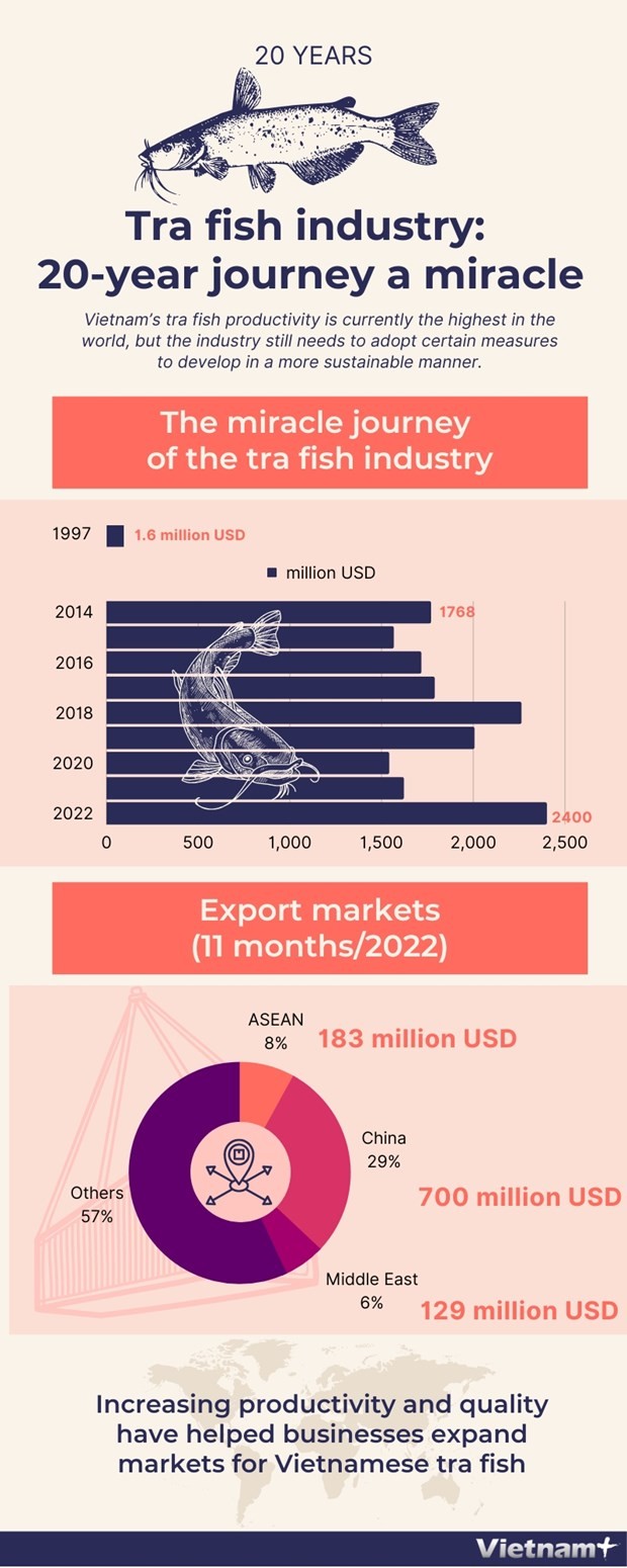 Infographic: Tra fish industry: 20-year journey a miracle