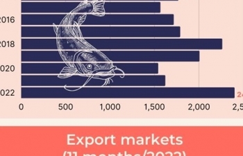 Infographic: Tra fish industry: 20-year journey a miracle