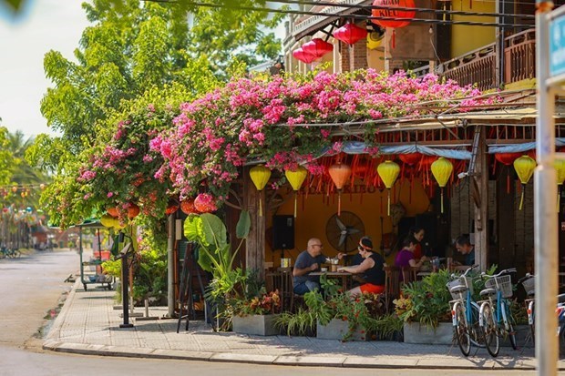 CEO Agoda: Du lich Viet Nam tang truong nhanh hon Thai Lan, Nhat Ban hinh anh 2