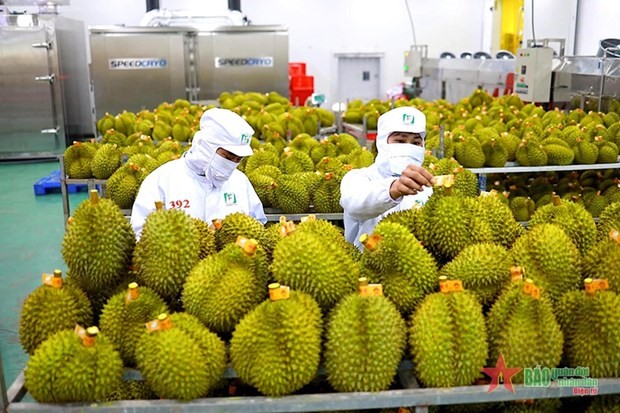 Producers advised to improve quality of products to fully tap Chinese market