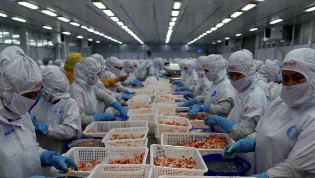 Khó khăn trong thanh toán quốc tế khi xuất khẩu sang Pakistan