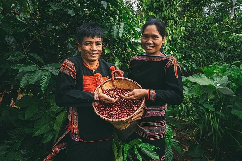 First batch of specialty coffee to be exported to Japan