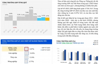 Tốc độ tăng trưởng GDP của Việt Nam 6 tháng đầu năm 2023