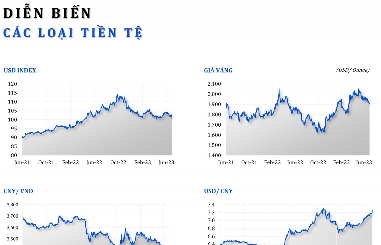 Diễn biến giá cả hàng hóa - tiền tệ 6 tháng đầu năm 2023