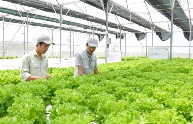 Hà Nội thông qua chính sách khuyến khích phát triển nông nghiệp, nông thôn