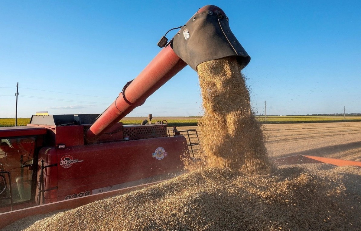 FAO: Giá lương thực thế giới tiếp tục giảm