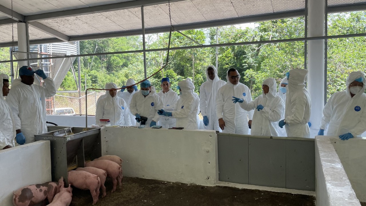Sẽ sớm có văn bản hướng dẫn việc sử dụng, lưu hành vaccine dịch tả lợn châu Phi